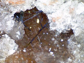 Deutschland/Sachsen/Erzgebirgskreis/Marienberg, Revier/Marienberg/Lauta/Schacht 139 (Abrahamhalde)