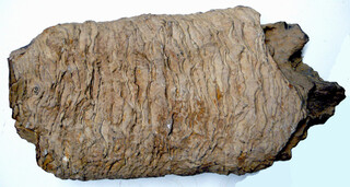 Österreich/Niederösterreich/Hollabrunn, Bezirk/Retz, Stadtgemeinde/Retz Altstadt, KG