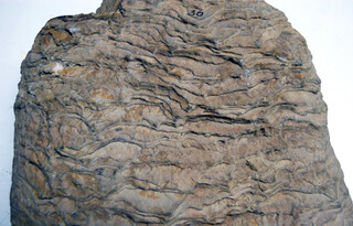 Österreich/Niederösterreich/Hollabrunn, Bezirk/Retz, Stadtgemeinde/Retz Altstadt, KG