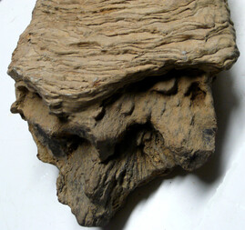 Österreich/Niederösterreich/Hollabrunn, Bezirk/Retz, Stadtgemeinde/Retz Altstadt, KG