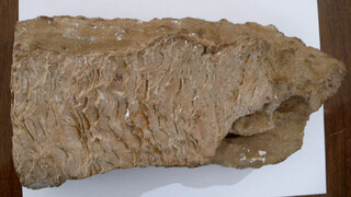 Österreich/Niederösterreich/Hollabrunn, Bezirk/Retz, Stadtgemeinde/Retz Altstadt, KG