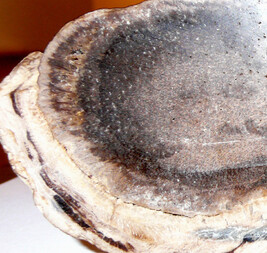 Österreich/Niederösterreich/Hollabrunn, Bezirk/Retz, Stadtgemeinde/Retz Altstadt, KG