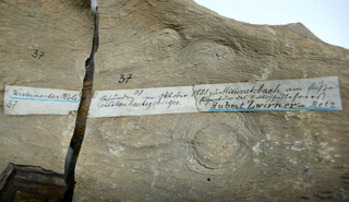 Österreich/Niederösterreich/Hollabrunn, Bezirk/Retzbach, Gemeinde