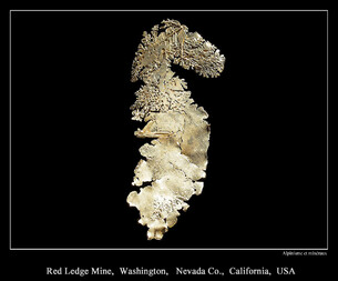 USA/Kalifornien (California)/Nevada County/Washington District/Red Ledge Mine