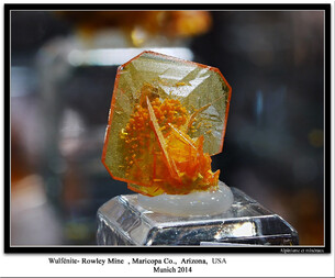 USA/Arizona/Maricopa County/Painted Rock Mts/Painted Rock District/Theba/Rowley Mine