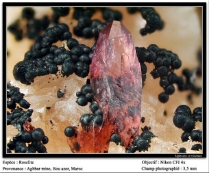 Marokko/Drâa-Tafilalet, Region/Zagora, Provinz/Agdz, Cercle/Aghbar/Aghbar Mine (Arhbar Mine)