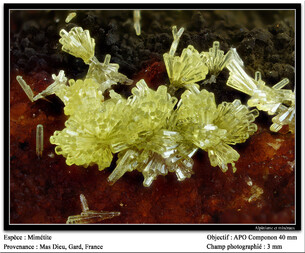 Frankreich/Occitanie (Okzitanien), Région/Gard, Département/Alès, Arrondissement/Laval-Pradel/Mas Dieu