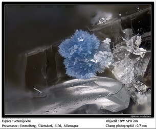 Deutschland/Rheinland-Pfalz/Vulkaneifel, Landkreis/Daun, Verbandsgemeinde/Üdersdorf/Emmelberg