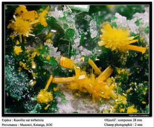 Demokratische Republik Kongo/Katanga (Shaba), Provinz/Lualaba, Distrikt/Kolwezi, Revier/Kolwezi, Stadt/Musonoi