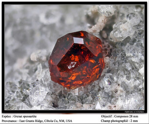 USA/New Mexico/Cibola County/Grants District/Grants/Grants Ridge