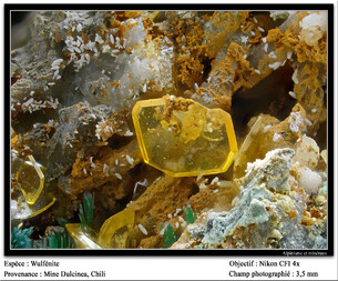 Chile/Atacama, Region (III. Region)/Copiapó, Provinz/Copiapó, Stadt/Cachiyuyo de Llampos, Bergbaudistrikt/Dulcinea de Llampos Mine