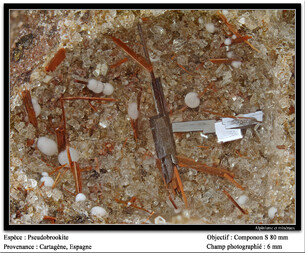Spanien/Región de Murcia/Murcia, Provinz/Campo de Cartagena, Comarca/Cartagena, Municipio