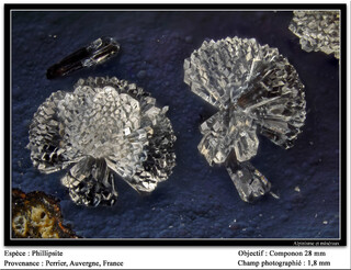 Frankreich/Auvergne-Rhône-Alpes, Région/Puy-de-Dôme, Département/Issoire, Arrondissement/Perrier