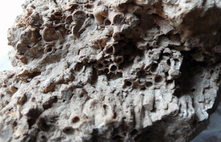 Österreich/Niederösterreich/Hollabrunn, Bezirk/Retz, Stadtgemeinde/Unternalb