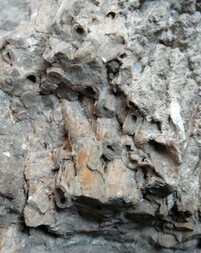 Österreich/Niederösterreich/Hollabrunn, Bezirk/Retz, Stadtgemeinde/Unternalb