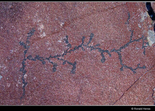 Deutschland/Saarland/Regionalverband Saarbrücken, Landkreis/Quierschied, Gemeinde/Fischbach-Camphausen, Ortsteil/Grube Camphausen/Lydiaschacht