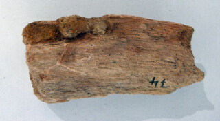 Österreich/Niederösterreich/Hollabrunn, Bezirk/Retz, Stadtgemeinde/Unternalb