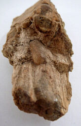 Österreich/Niederösterreich/Hollabrunn, Bezirk/Retz, Stadtgemeinde/Unternalb