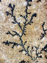 Deutschland/Bayern/Niederbayern, Bezirk/Freyung-Grafenau, Landkreis/Schönberg, Gemeinde/Saunstein, Ortsteil/Steinbruch Saunstein