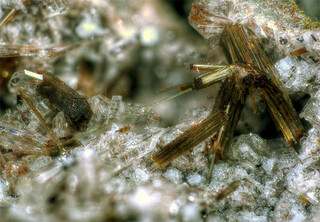 Deutschland/Rheinland-Pfalz/Mayen-Koblenz-Kreis/Mendig, Verbandsgemeinde/Bell/Rothenberg