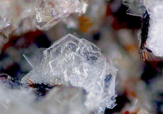 Deutschland/Rheinland-Pfalz/Mayen-Koblenz-Kreis/Mendig, Verbandsgemeinde/Bell/Rothenberg