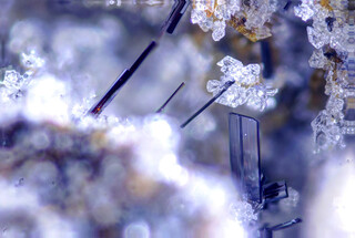 Deutschland/Rheinland-Pfalz/Mayen-Koblenz-Kreis/Mendig, Verbandsgemeinde/Bell/Rothenberg