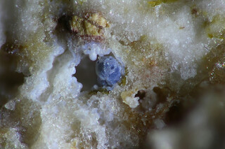 Deutschland/Rheinland-Pfalz/Mayen-Koblenz-Kreis/Vordereifel, Verbandsgemeinde/Ettringen/Bellerberg/Ettringer Bellerberg (Stbr. Caspar)