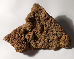 Tschechien/Jihomoravsky kraj (Südmährische Region)/Břeclav Okres (Lundenburg)/Unter-Wisternitz (Dolní Věstonice)