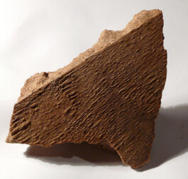 Tschechien/Jihomoravsky kraj (Südmährische Region)/Břeclav Okres (Lundenburg)/Unter-Wisternitz (Dolní Věstonice)