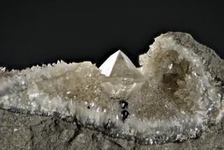 Schweiz/Aargau, Kanton/Laufenburg, Bezirk/Frick/Tongrube Keller (Gruhalde)