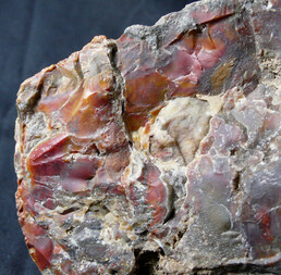 Österreich/Niederösterreich/Krems-Land, Bezirk/Schönberg am Kamp/Fernitz/Tettenhengst