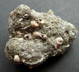 Österreich/Niederösterreich/Korneuburg, Bezirk/Stetten/Teiritzberg