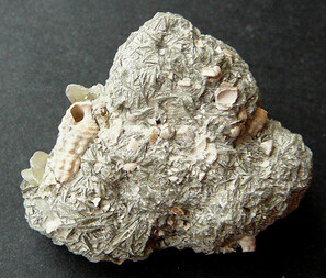 Österreich/Niederösterreich/Korneuburg, Bezirk/Stetten/Teiritzberg