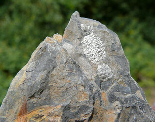 Deutschland/Niedersachsen/Osnabrück, Landkreis/Wallenhorst/Piesberg