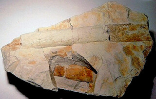 Deutschland/Niedersachsen/Hannover, Region/Sehnde/Höver