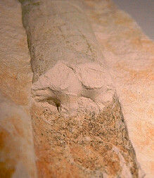 Deutschland/Niedersachsen/Hannover, Region/Sehnde/Höver