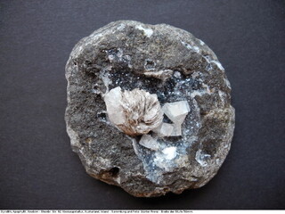 Island/Ostisland (Austurland), Region/Fjarðabyggð/Neskaupstaður/Steinbruch Oddskarðsvegur