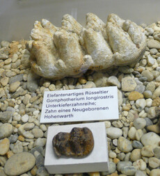 Österreich/Niederösterreich/Hollabrunn, Bezirk/Hohenwarth-Mühlbach am Manhartsberg, Gemeinde/Hohenwarth/Straßenbaustelle