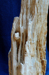 Österreich/Niederösterreich/Horn, Bezirk