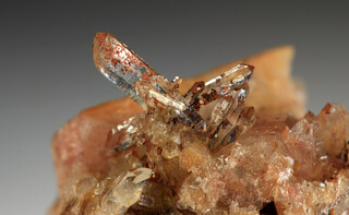 Deutschland/Sachsen/Bautzen, Landkreis/Steinigtwolmsdorf/Goldbergwiesen