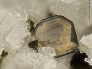 Österreich/Salzburg/Zell am See, Bezirk (Pinzgau)/Neukirchen am Großvenediger, Marktgemeinde/Sulzau, Katastralgemeinde/Obersulzbachtal/Hopffeldboden