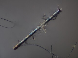 Italien/Piemont (Piemonte), Region/Metropolitanstadt Turin/Borgofranco d'Ivrea, Gemeinde/Biò/Miniere di Borgofranco