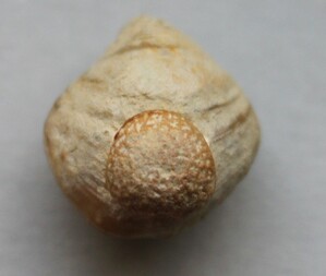 Deutschland/Bayern/Oberfranken, Bezirk/Bamberg, Landkreis/Scheßlitz, Stadt/Ludwag, Ortsteil/Steinbrüche Ludwag