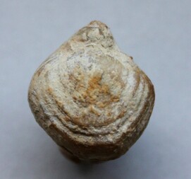 Deutschland/Bayern/Oberfranken, Bezirk/Bamberg, Landkreis/Scheßlitz, Stadt/Ludwag, Ortsteil/Steinbrüche Ludwag