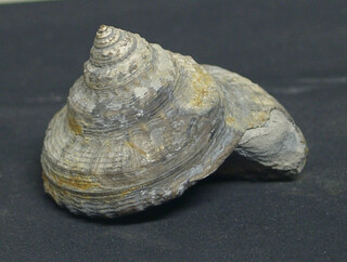 Deutschland/Baden-Württemberg/Stuttgart, Bezirk/Ostalbkreis/Heubach