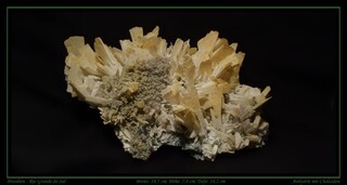 Brasilien/Süden (Região Sul)/Rio Grande do Sul