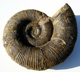 Deutschland/Niedersachsen/Wolfsburg, kreisfreie Stadt/Laagberg