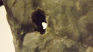 Deutschland/Niedersachsen/Cuxhaven, Landkreis