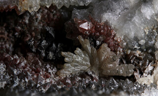 Deutschland/Sachsen/Mittelsachsen, Landkreis/Freiberg, Revier/Bobritzsch-Hilbersdorf, Gemeinde/Naundorf, Ortsteil/Steinbruch Buchberg