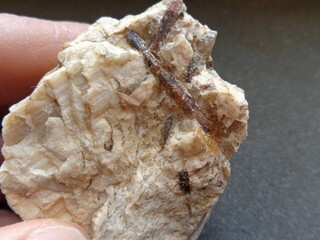 Deutschland/Sachsen/Zwickau, Landkreis/Limbach-Oberfrohna/Wolkenburg/Pegmatitgang